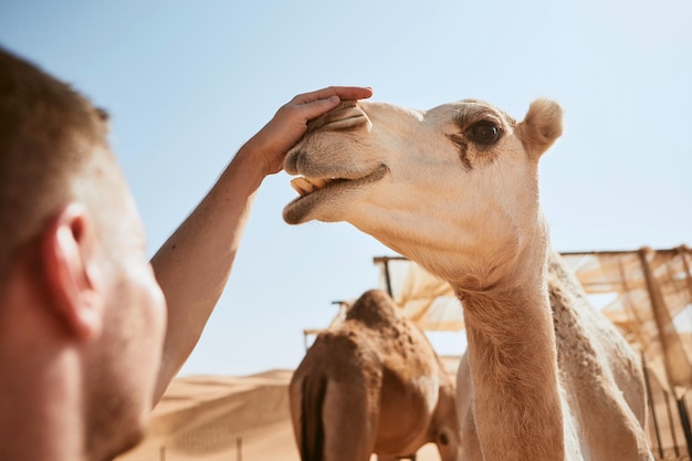 Photo close-up d'un homme caressant un chameau contre le ciel