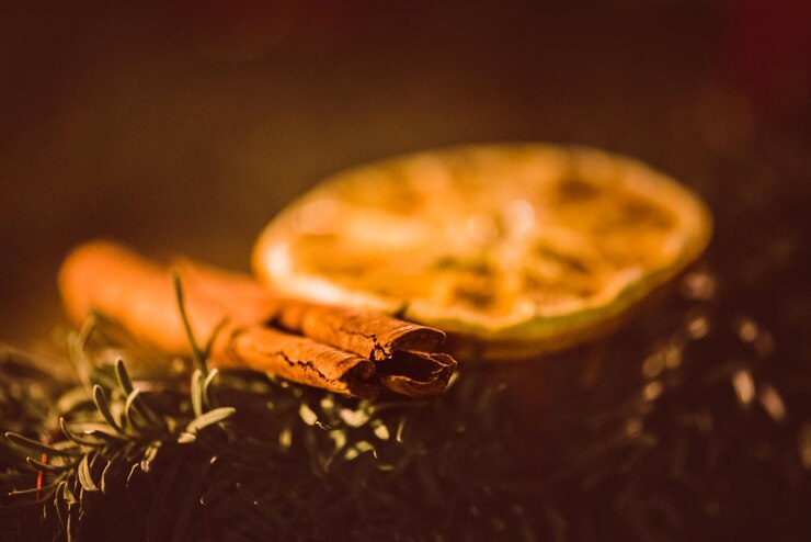 Photo close-up d'un insecte sur une table