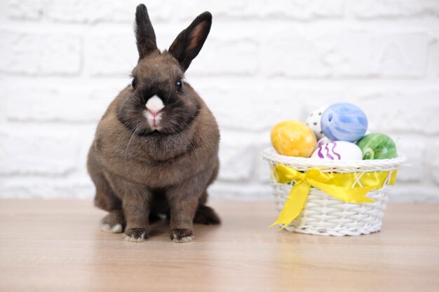 Close up de lapin et oeufs de pâques sur la table en bois sur fond blanc