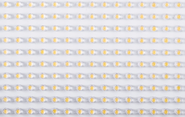Close-up LED petites ampoules