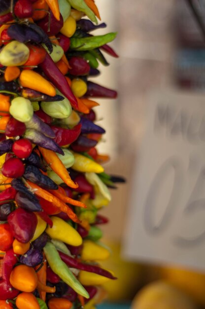 Photo close-up de légumes multicolores