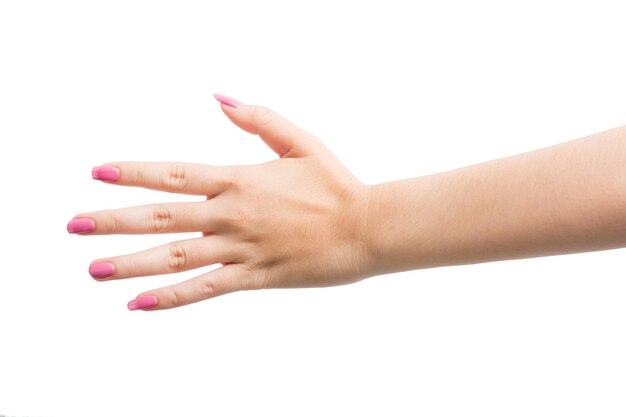 Photo close-up de la main d'une femme sur un fond blanc