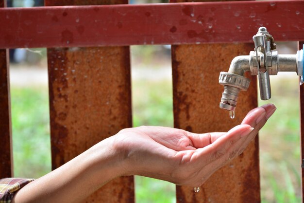 Photo close-up de la main d'une femme recueillant de l'eau du robinet