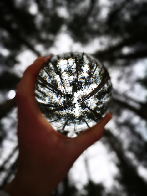 Close-up d'une main tenant une boule de cristal au milieu des arbres