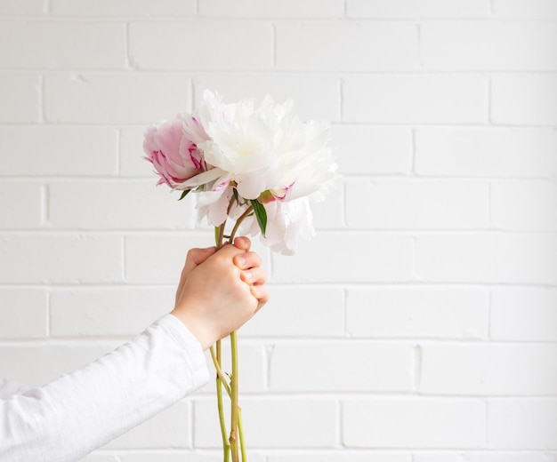 Close-up d'une main tenant une fleur contre un mur blanc