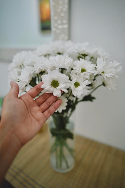 Close-up d'une main tenant des fleurs blanches dans un vase