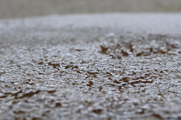 Photo close-up de la neige sur terre