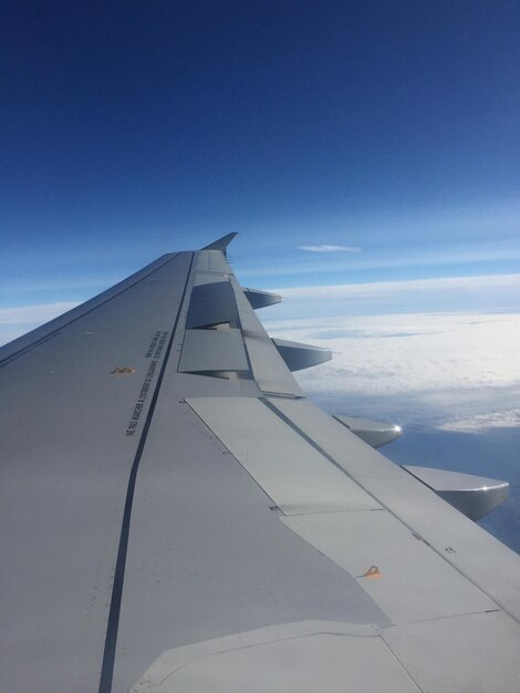 Photo close-up de l'objet coupé contre le ciel bleu