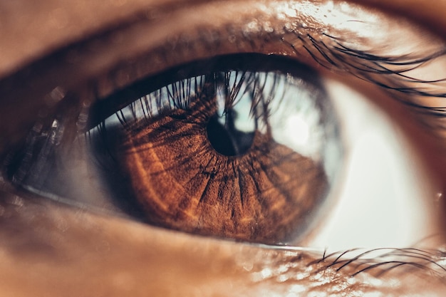 Close-up de l'œil humain