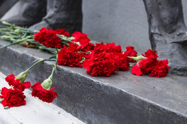 Close up d'oeillets rouges sur monument