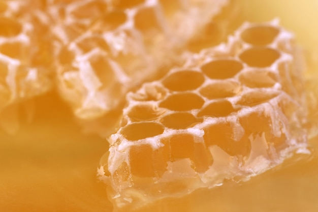 Close up of Bee Honey comb