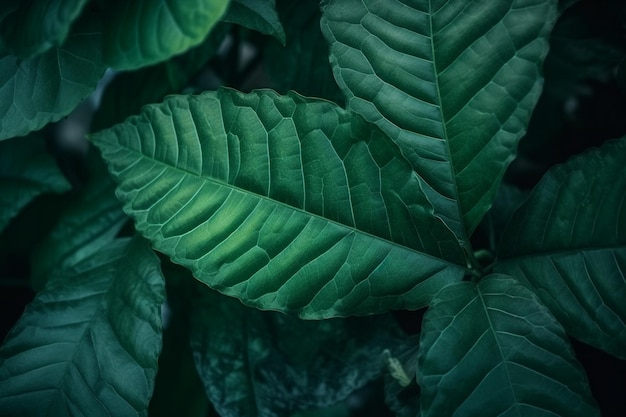 Close up of Leaves Ai génératif