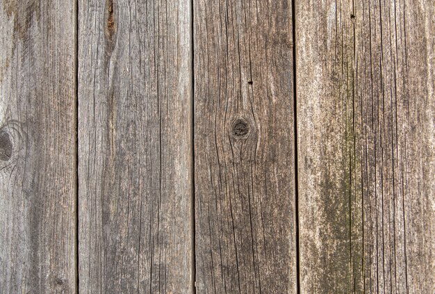 Close-up of natural old vintage weathered gris brun non peint clôture en bois massif ou porte de planches et de planches. Texture écologique copie espace ensoleillé fond craquelé.