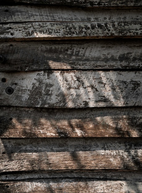 Close up of wood Motif de fond au Sri Lanka