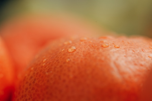 Photo close up orange avec de petites gouttelettes d'eau sur la peau