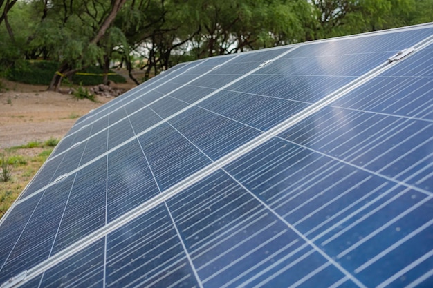 Close up de panneaux solaires sur un champ de paysage verdoyant