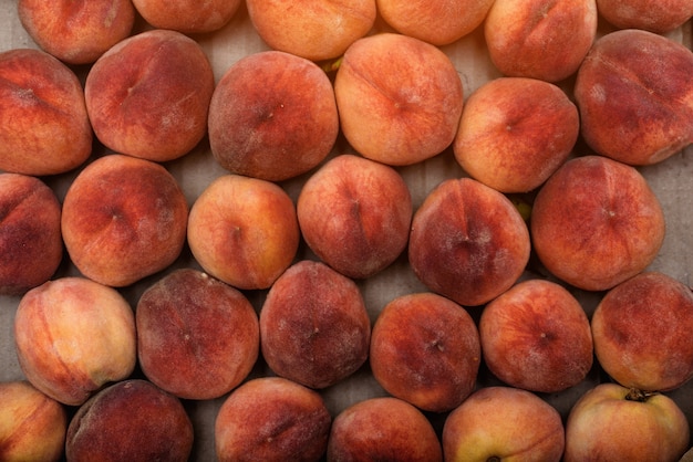 Close-up de pêches mûres fraîches. Fond d'écran, . Saison des fruits