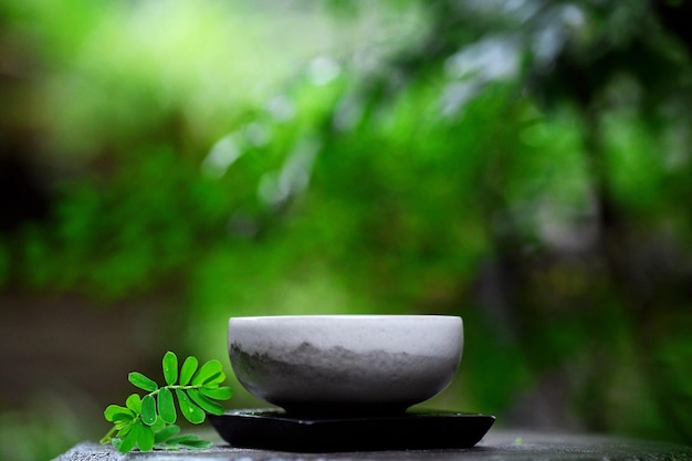 Close-up d'une petite plante en pot sur une table