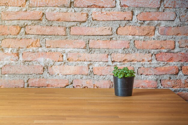 Photo close-up d'une plante en pot sur le mur