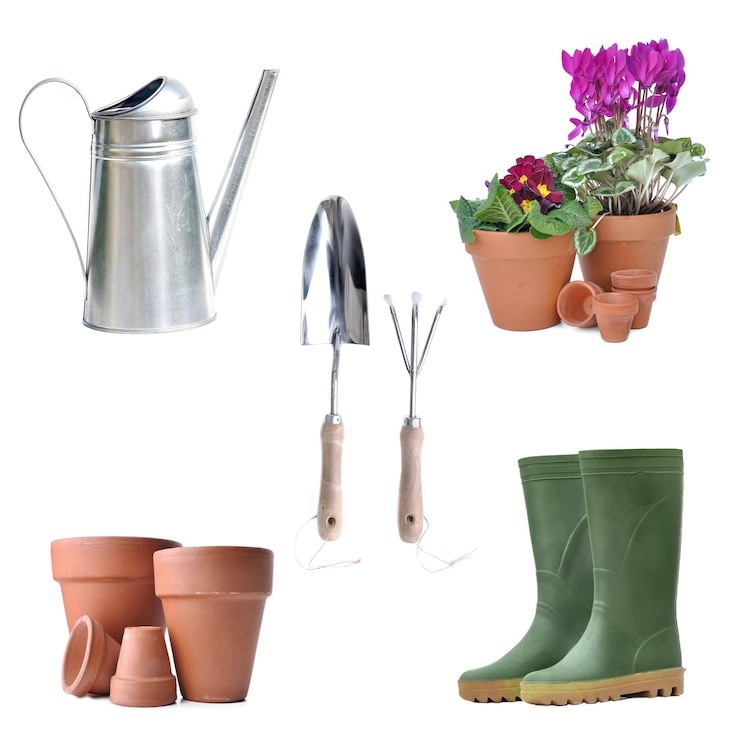 Photo close-up d'une plante en pot sur une table sur un fond blanc