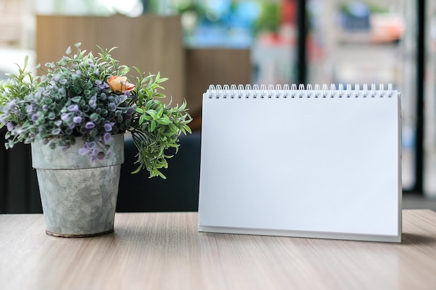 Photo close-up d'une plante en pot sur une table