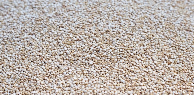 Close up de quinoa bio