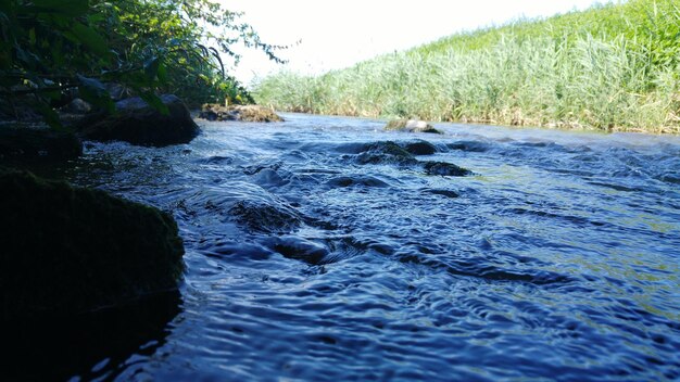 Photo close-up de la rivière contre les arbres