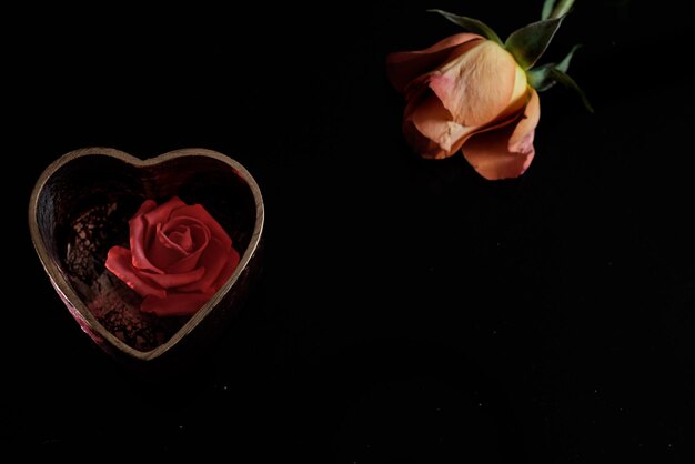 Photo close-up d'une rose sur un fond noir