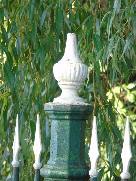 Photo close-up de la statue contre les plantes