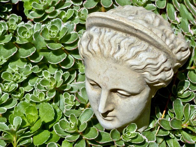 Photo close-up de la statue contre les plantes