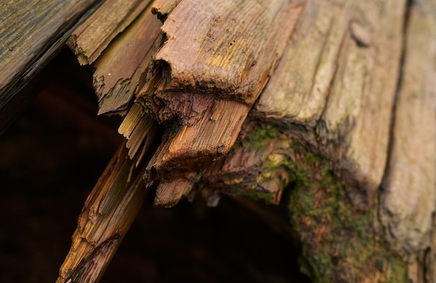 Close up surface de vieux bateau en bois de l'ancien chantier naval