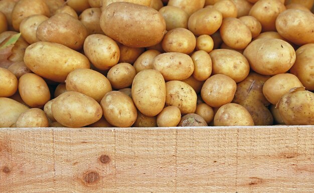 Close up tas de pommes de terre nouvelles à l'étalage de détail