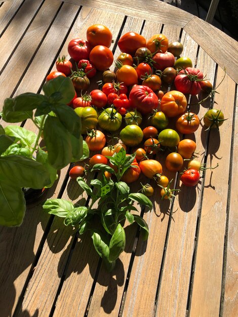 Photo close-up des tomates