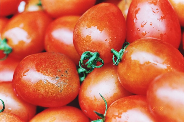 Photo close-up des tomates