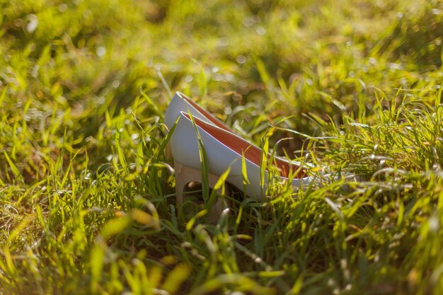 Photo close-up de l'usine sur le terrain