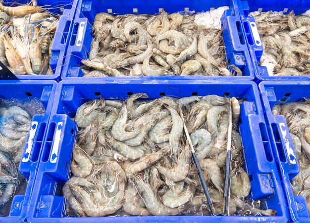 Close-up de la variété de crevettes fraîches avec la glace broyée dans le plateau en plastique à vendre sur le marché vue ci-dessus pour la vue avant de fond avec l'espace de copie