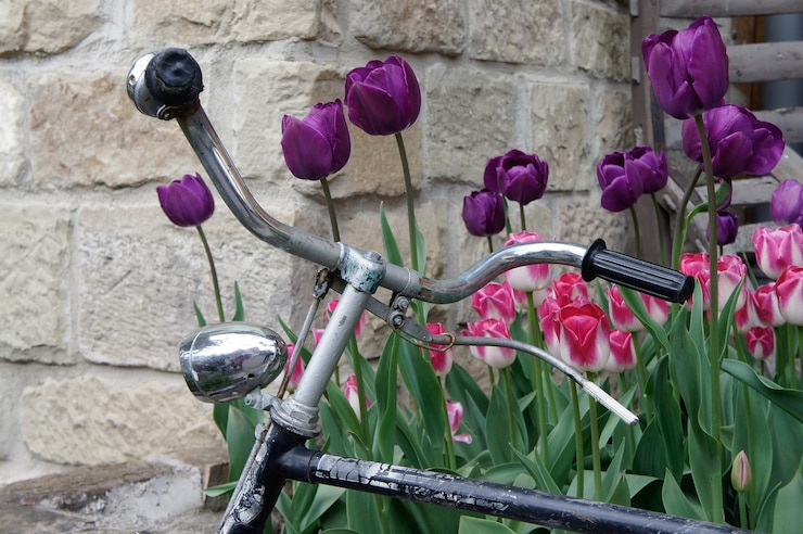 Photo close-up d'un vélo dans la rue contre un mur