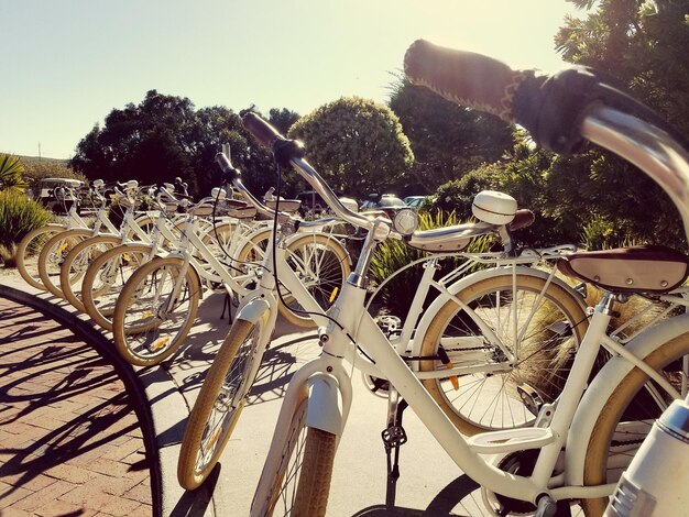 Close-up d'un vélo garé par des arbres contre le ciel