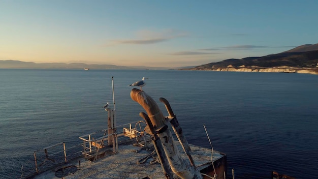 Close-up d'un vieux coffre de navire détruit et d'une mouette assise sur un tuyau rouillé