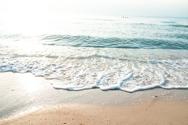 Close Up Wave Sand Beach Sea Foam Gros plan de la vague de la mer avec de la mousse sur le sable de la plage Vacation Summer background