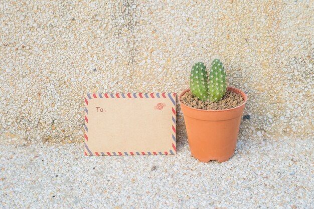 Closeup brown enveloppe et cactus en pot brun sur la texture de sol et mur en pierre floue