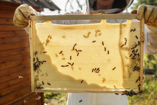 Photo closeup mains d'apiculteur tenir un cadre en bois avec nid d'abeille.
