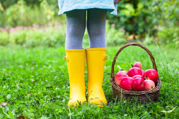 Closeup, panier, pommes rouges, caoutchouc, bottes, petite fille