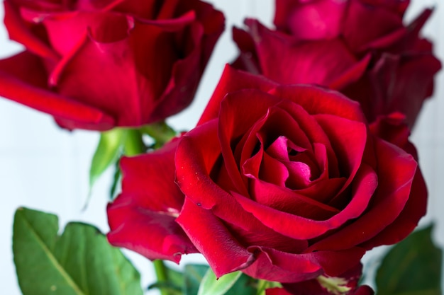 Closeup trois roses rouges