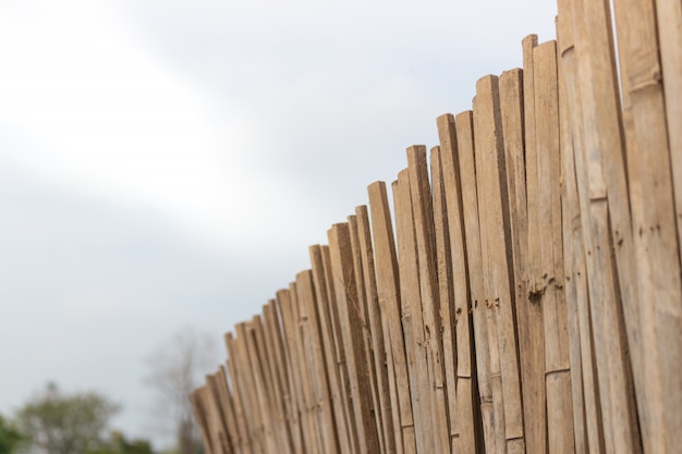 Clôture de bambou a été disposée en ligne verticale