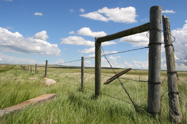 Une clôture en bois sur le champ contre le ciel