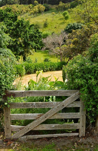 Photo une clôture en bois sur un champ herbeux