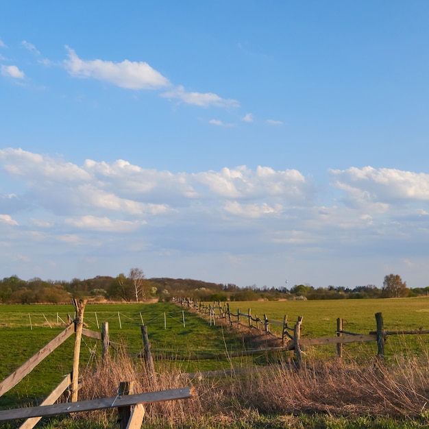 Clôture en bois sur un champ vert