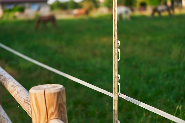 Clôture en bois avec clôture électrique pour le bétail Sécurité et garantie de la sécurité du bétail Clôture électrique protégeant les chevaux et les vaches sur le terrain