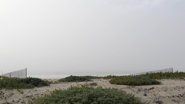 Clôture en bois, plage de sable brumeux, California USA. Côte de l'océan, temps brumeux au bord de la mer